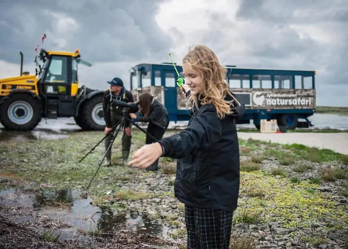 Prázdninový dům 4 Star In