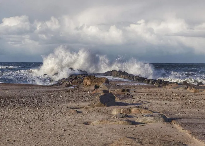 4 Star In Дом отдыха